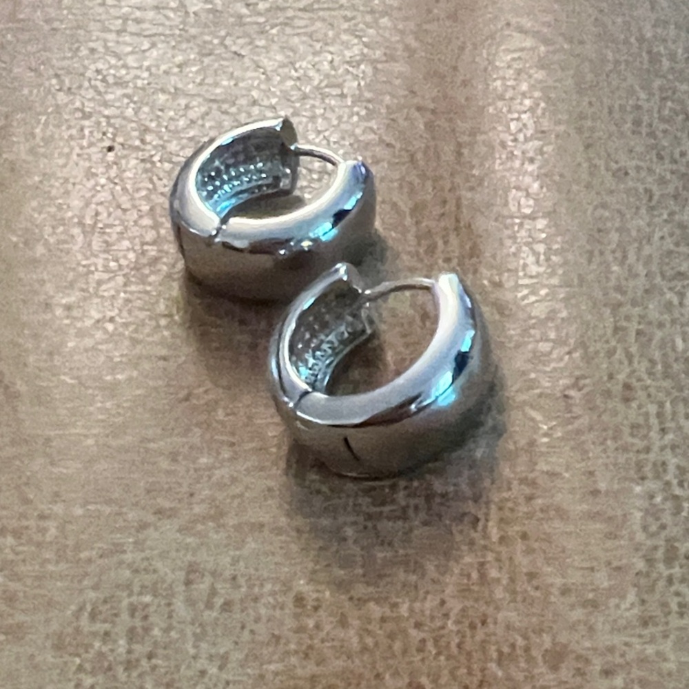 Elegant Silver Hoop Earrings